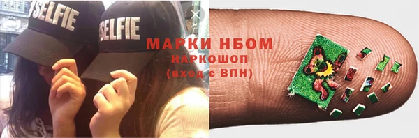 прущие грибы Баксан