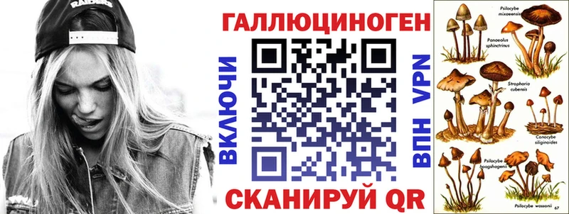 Купить закладки  Михайлов  Псилоцибиновые грибы мухоморы 